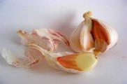 Ajo en la lucha contra Campylobacter