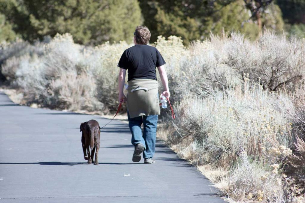 Como Se Dice Sacar A Pasear Al Perro En Ingles