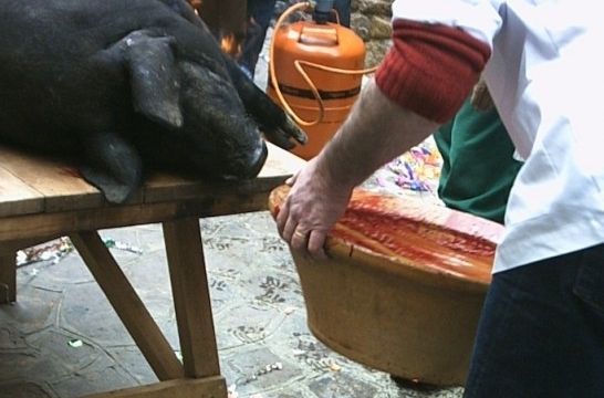 Matanza domiciliaria de cerdo