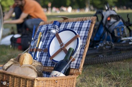 El picnic perfecto: claves para organizarlo