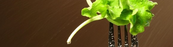 ¿Se puede comer la lechuga con los bordes negros?