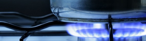 ¿Es cierto que el fuego mata todas las bacterias?