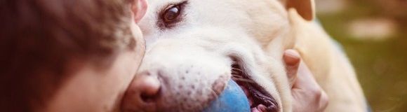 Día Mundial del Perro: ¡13 formas de celebrarlo!