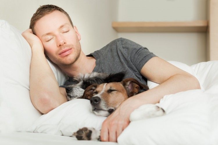 Cómo gatos y perros ayudan a dormir mejor