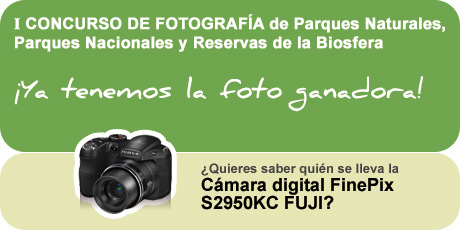 ¡Ya tenemos la foto ganadora!